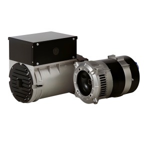 Mecc Alte Portable Alternators